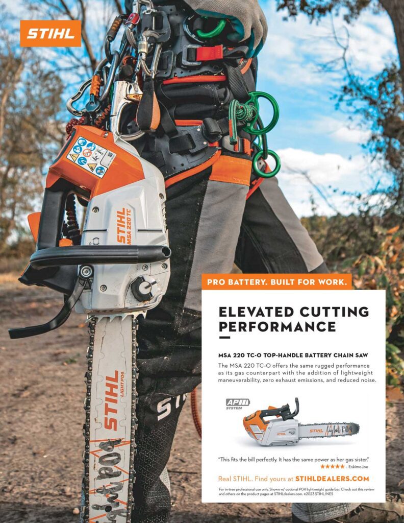 Stihl top discount handle battery chainsaw