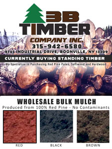 3B Timber