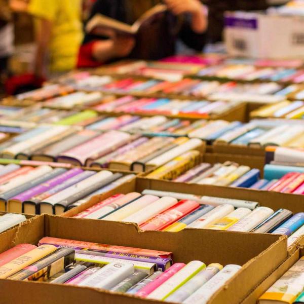 Erwin Library Book Sale