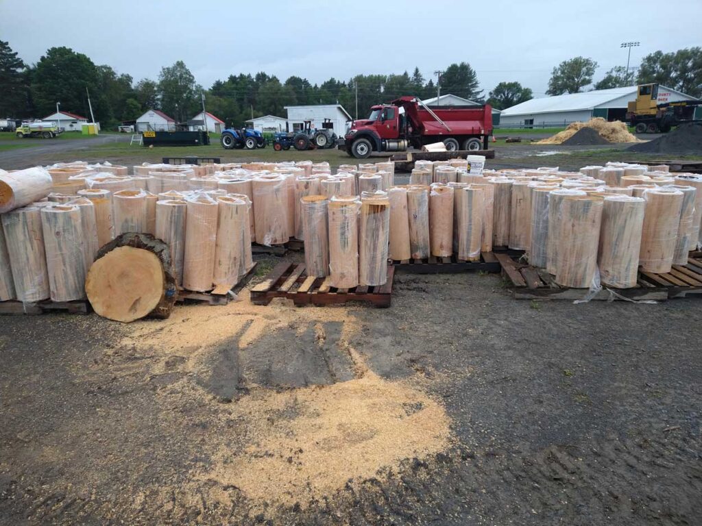 Lots of white pine logs have been prepared